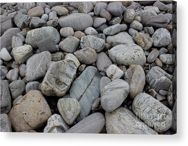  Acrylic Print featuring the pyrography Portland rocks by Annamaria Frost