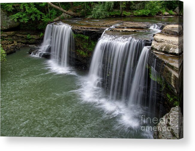 Waterfall Acrylic Print featuring the photograph Potter's Falls 9 by Phil Perkins