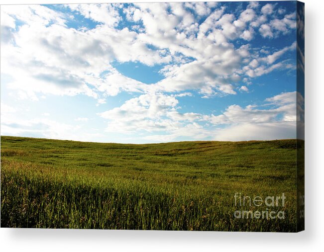Calgary Acrylic Print featuring the photograph Prairie Field by Wilko van de Kamp Fine Photo Art