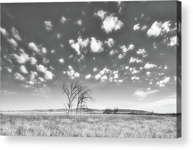 Landsape Acrylic Print featuring the photograph Prairie Subleties Black and White by Allan Van Gasbeck