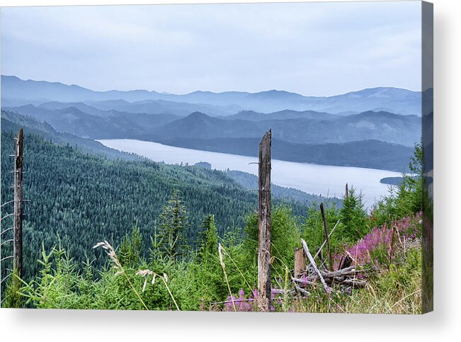 Landscape Acrylic Print featuring the photograph Priest Lake view with fireweed by Debra Baldwin
