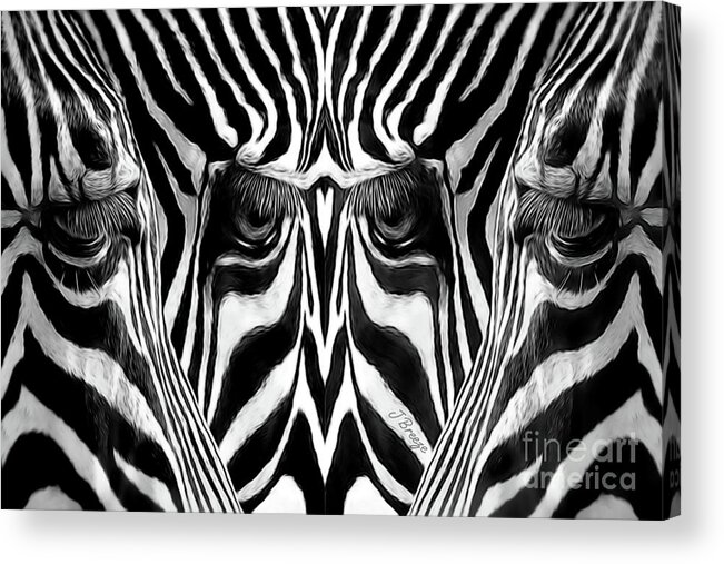 Zebra Acrylic Print featuring the photograph Primal by Jennie Breeze