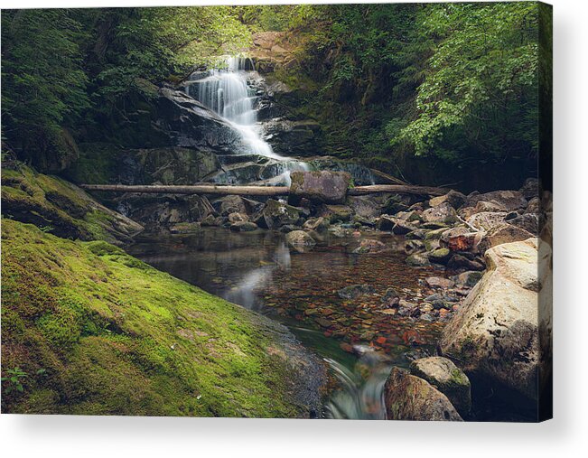 Waterfall Acrylic Print featuring the photograph Quiet Falls 2 by Michael Rauwolf