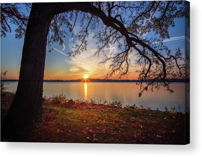 Oak Lake Lake Waubesa Wi Wisconsin Fishing Sunrise Fall Acrylic Print featuring the photograph Reaching Out - oak tree reaching over Lake Waubesa in autumn sunset by Peter Herman