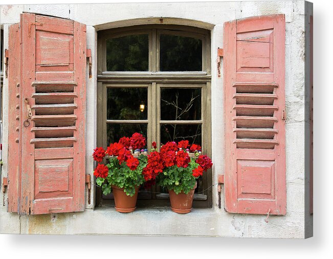 Window Acrylic Print featuring the photograph Red flowers and red shutters by Karen Kaspar