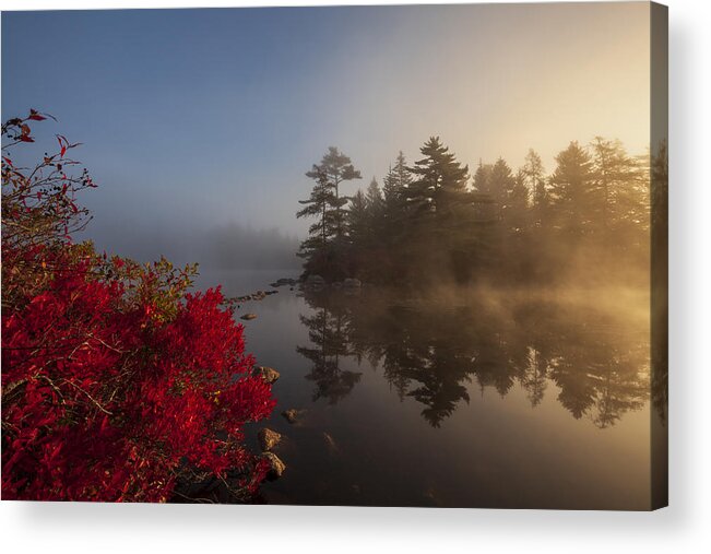 Blue Mountain-birch Coves Lakes Wilderness Area Acrylic Print featuring the photograph Red Huckleberry and Misty Island by Irwin Barrett