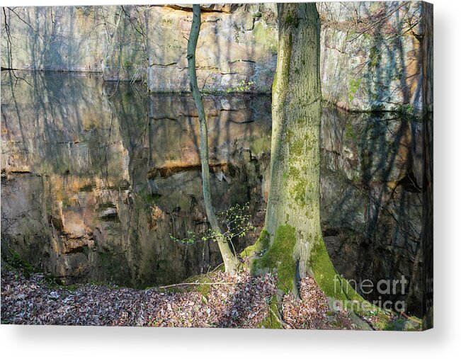 Water Acrylic Print featuring the photograph Reflection in the quarry 5 by Adriana Mueller