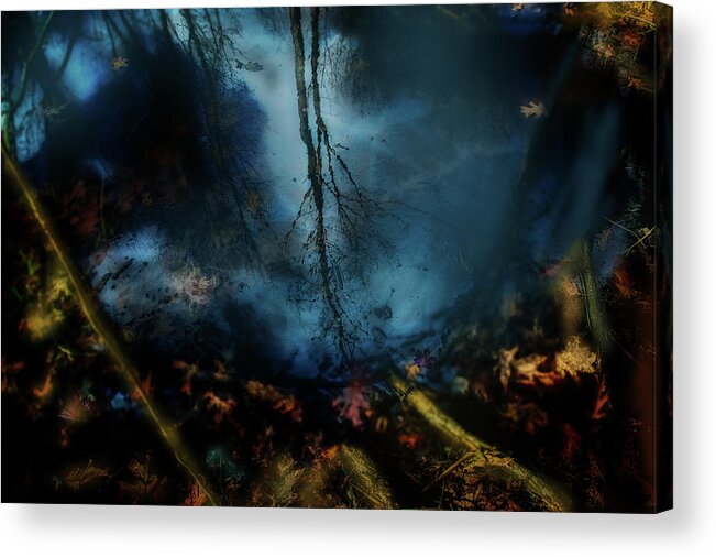 Abstract Acrylic Print featuring the photograph Reflections from a puddle by Jim Signorelli