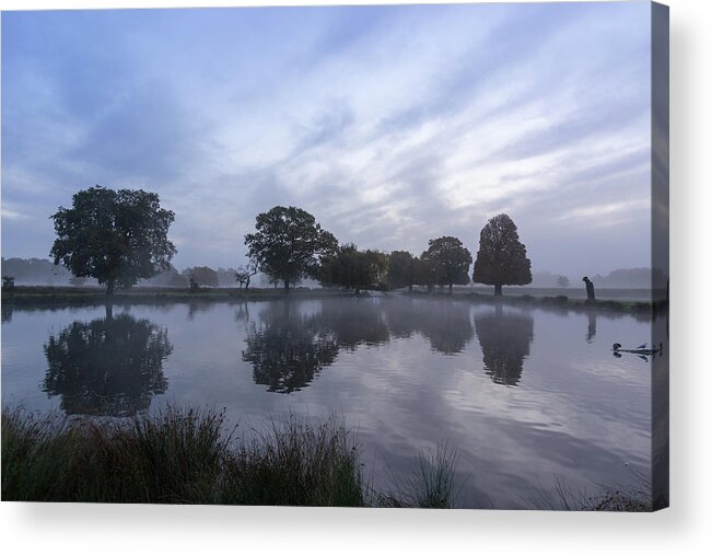 Reflections Acrylic Print featuring the photograph Reflections in Bushy by Andrew Lalchan