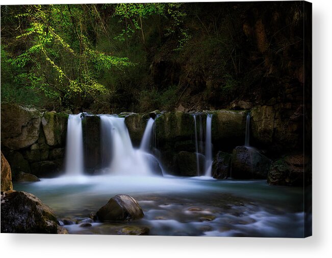 Waterfall Acrylic Print featuring the photograph Renewal II by Dominique Dubied