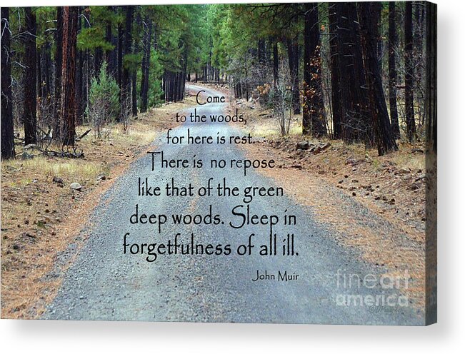 John Muir Acrylic Print featuring the photograph Rest in the Woods by Debby Pueschel