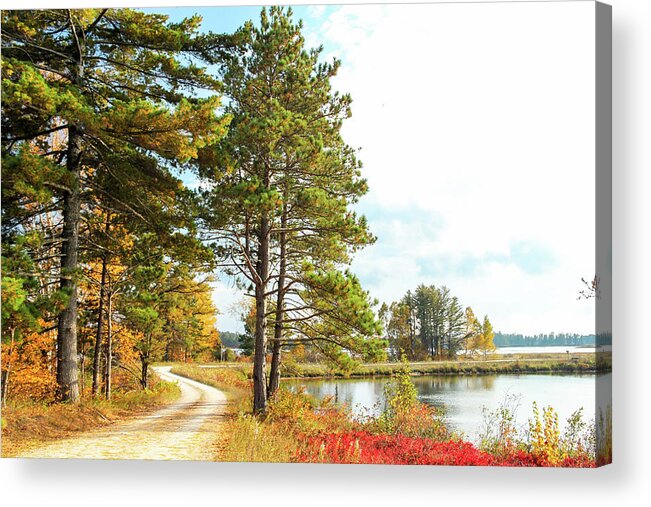 Seney National Wildlife Refuge Acrylic Print featuring the photograph Road Through the Wildlife Refuge by Robert Carter