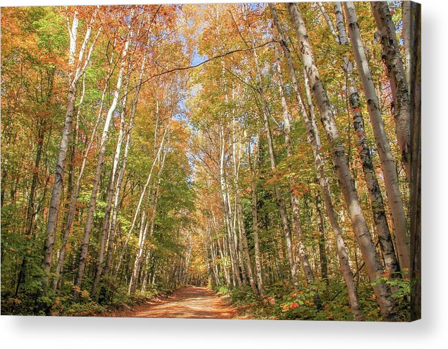Michigan Acrylic Print featuring the photograph Road to the Trailhead by Robert Carter