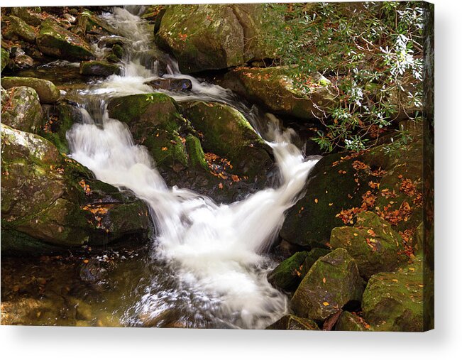 Stream Acrylic Print featuring the photograph Roadside Beauty by Gina Fitzhugh