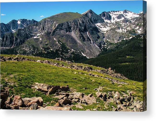 Alpine Acrylic Print featuring the photograph Rock Cut Overlook 2 from Trail Ridge Road, Rocky Mountain National Park, Colorado by Tom Potter