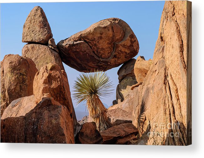 Grapevine Hills Trail Acrylic Print featuring the photograph Rock Frame by Bob Phillips