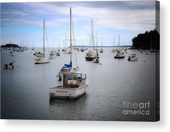 Harbor Acrylic Print featuring the photograph Rockport Maine by Veronica Batterson
