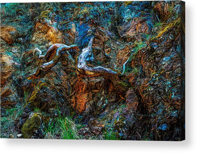 Algae Acrylic Print featuring the pastel Root Cause by Bill Posner