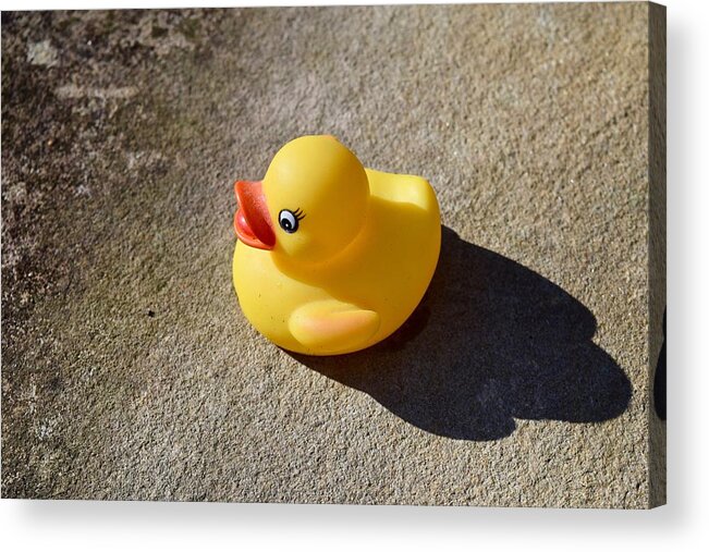 Rubber Duck Acrylic Print featuring the photograph Rubber Ducky on walkabout by Lynn Hunt