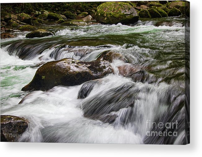 Landscape Acrylic Print featuring the photograph Rushing mountain water, Smoky Mountains, Big Creek North Carolina by Theresa D Williams