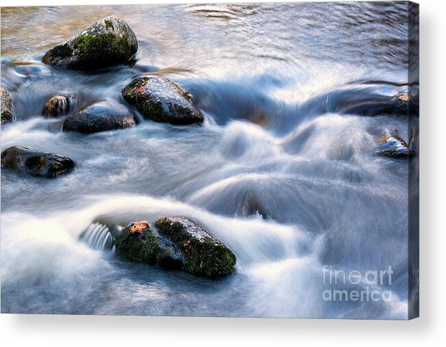 Stream Acrylic Print featuring the photograph Rushing Thru by Nicki McManus