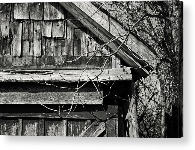 Barn Acrylic Print featuring the photograph Rustic Old Shed - Gould City, Michigan USA - by Edward Shotwell