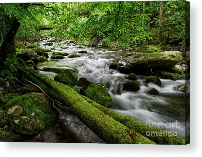 Middle Prong Little River Acrylic Print featuring the photograph Rustic Wooden Bridge 2 by Phil Perkins