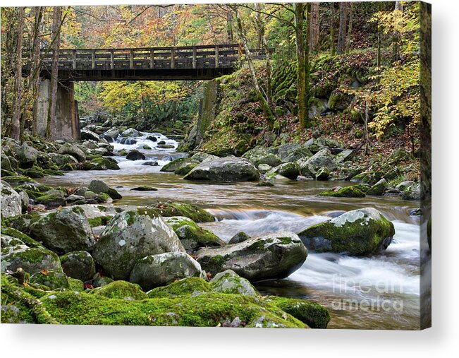 Autumn Acrylic Print featuring the photograph Rustic Wooden Bridge by Phil Perkins