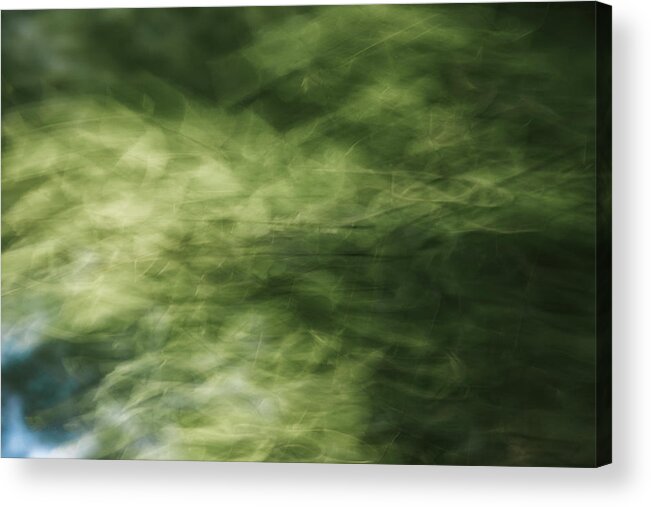 Icm Acrylic Print featuring the photograph Rustling Leaves by Ada Weyland