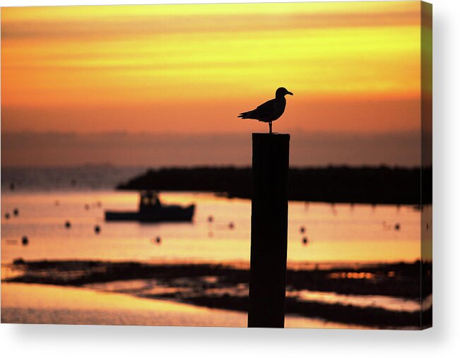 Rye Harbor Acrylic Print featuring the photograph Rye Harbor Sunrise by Eric Gendron