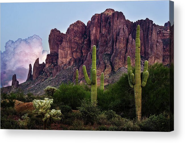 Cactus Acrylic Print featuring the photograph Saguaro Cactus and the Superstition Mountains by Dave Dilli