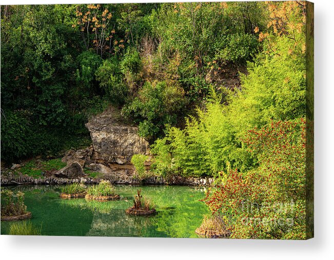 San Antonio Acrylic Print featuring the photograph San Antonio Japanese Garden Landscape and Pond Two by Bob Phillips