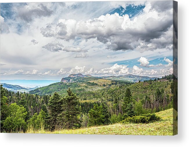 Landscape Acrylic Print featuring the photograph San Juan Mountains New Mexico by Debra Martz