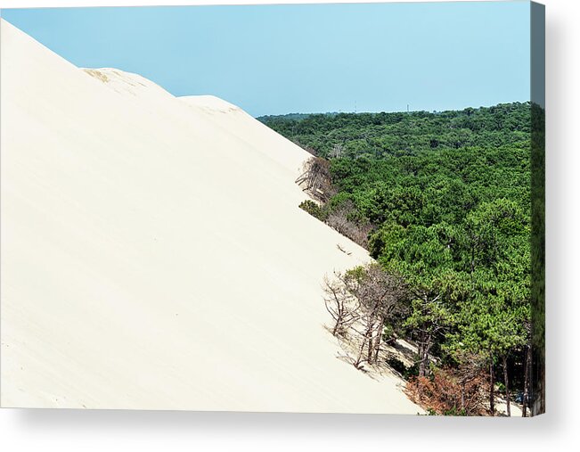 Pilat Acrylic Print featuring the photograph Sand Dune by Manjik Pictures