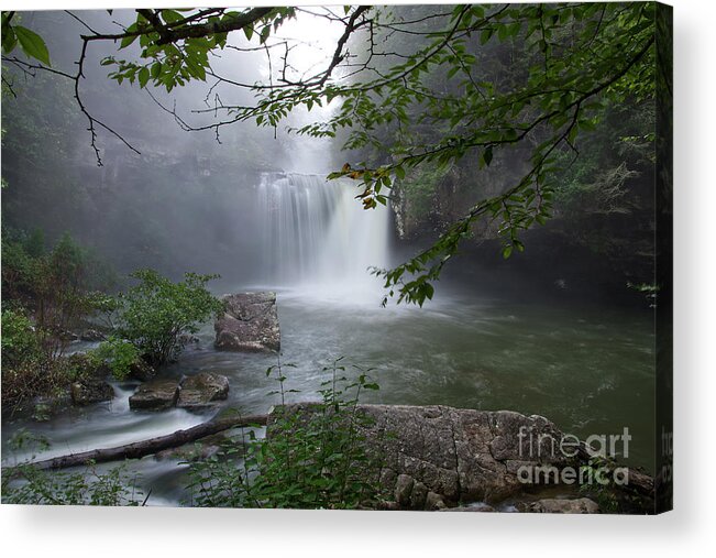Savage Falls Acrylic Print featuring the photograph Savage Falls 21 by Phil Perkins