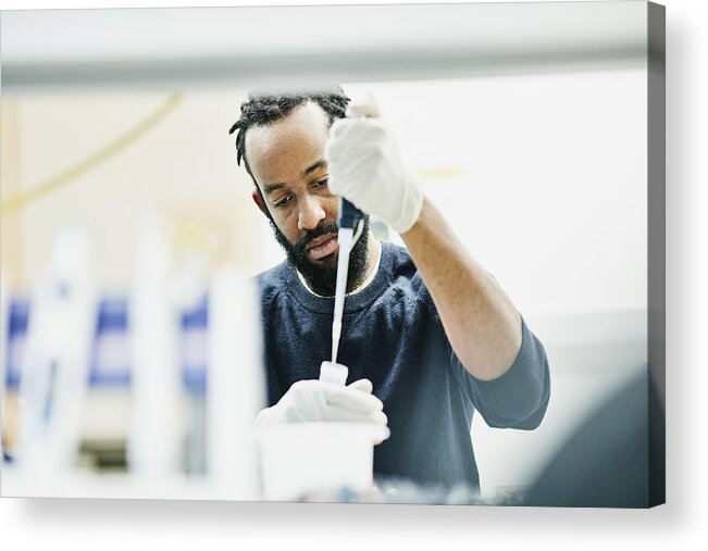 Expertise Acrylic Print featuring the photograph Scientist pipetting samples in research lab by Thomas Barwick