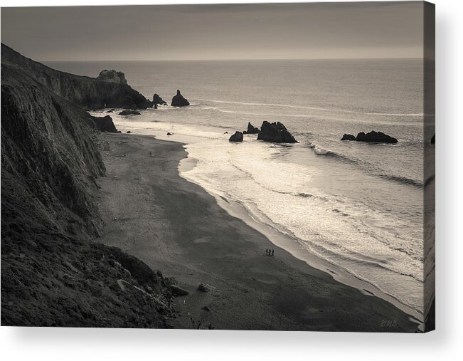 Pacific Acrylic Print featuring the photograph Seascape Jenner California VI Toned by David Gordon