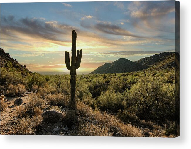 Desert Acrylic Print featuring the photograph Sentinel Sunrise by Jim Painter