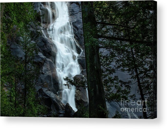 Shannon Falls Acrylic Print featuring the photograph Shannon Falls British Columbia by Bob Christopher