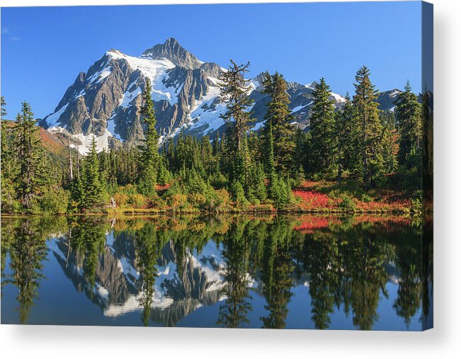 Mt. Shuksan Acrylic Print featuring the photograph Shuksan Reflection by Michael Rauwolf