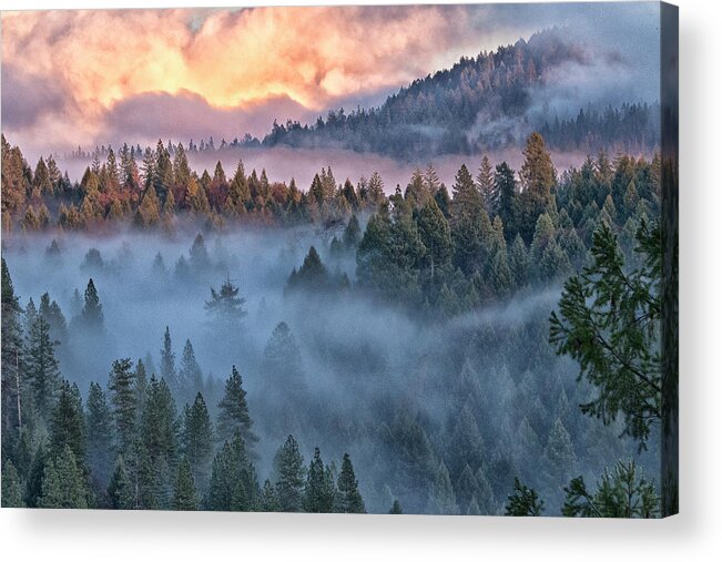 Mountains Acrylic Print featuring the photograph Sierra Nevada 2835 by Tom Kelly