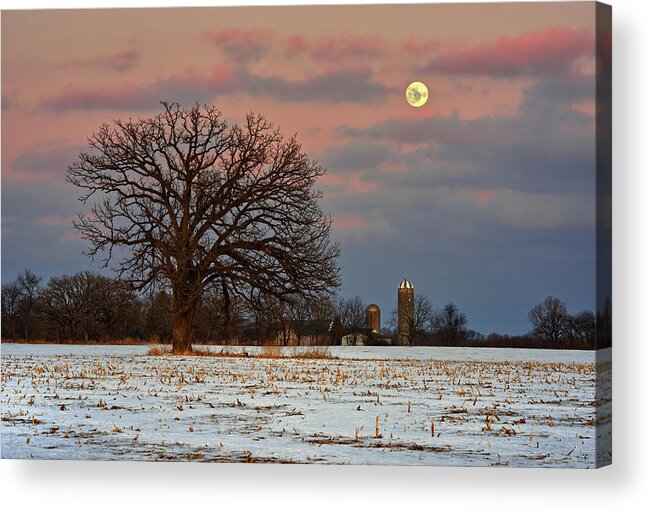 Moon Acrylic Print featuring the photograph Silo and Snow Moon with Oak in Corn Stubble by Peter Herman