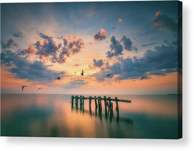 Lake Ontario Acrylic Print featuring the photograph Singing for the Spring by Henry w Liu