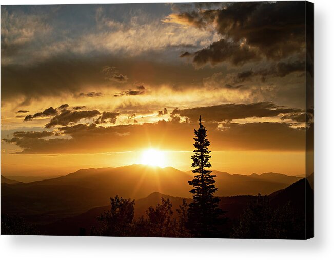 Sunset Acrylic Print featuring the photograph Single Tree Sunset by Wesley Aston