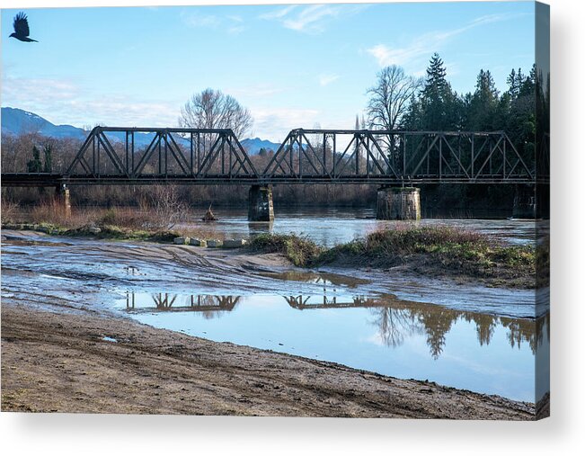 Skagit River Over The Banks Acrylic Print featuring the photograph Skagit River Flooding the Banks by Tom Cochran