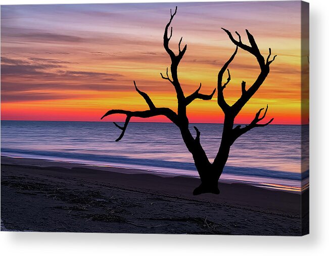 Trees Acrylic Print featuring the photograph Skeleton Trees of Graveyard Beach 03 by Jim Dollar