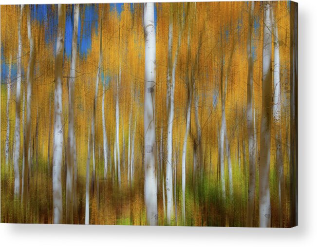 Absctract Art Acrylic Print featuring the photograph Sleepy Hollow by James BO Insogna