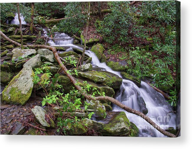 Little River Acrylic Print featuring the photograph Small Waterfalls 5 by Phil Perkins