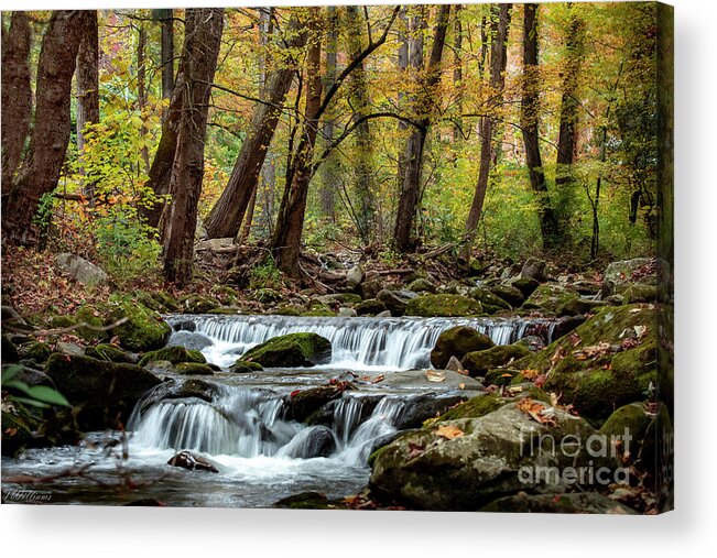Autumn Acrylic Print featuring the photograph Smoky Mountain Autumn Water by Theresa D Williams