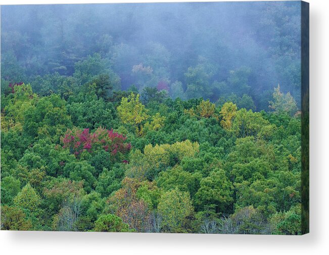 Smoky Mountains Acrylic Print featuring the photograph Smoky Mountains Fall by Karen Cox